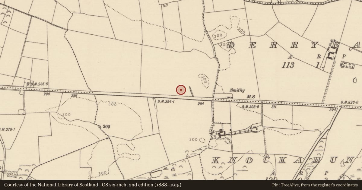 Ordnance Survey six-inch map, 2nd edition (1888–1915) covering the location of Well, Clashnevin, County Tipperary North, with a pin at the register's coordinates