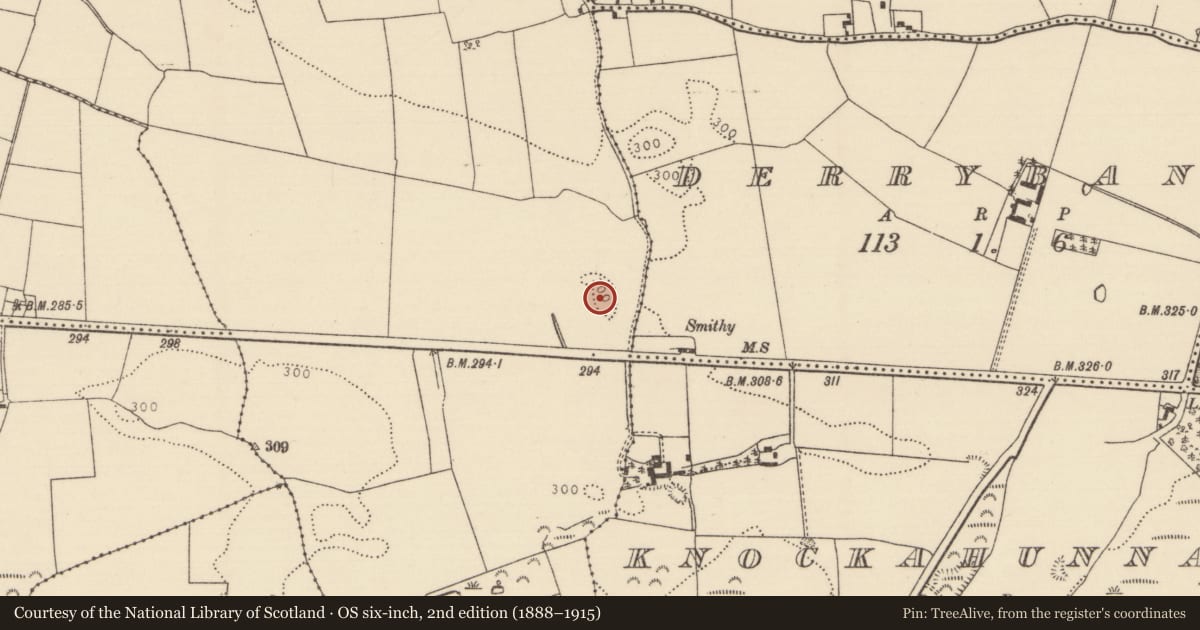 Ordnance Survey six-inch map, 2nd edition (1888–1915) covering the location of Habitation site, Clashnevin, County Tipperary North, with a pin at the register's coordinates