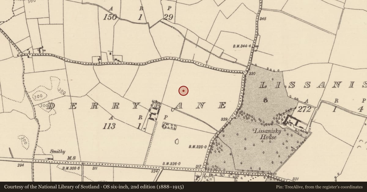 Ordnance Survey six-inch map, 2nd edition (1888–1915) covering the location of House - prehistoric, Derrybane, County Tipperary North, with a pin at the register's coordinates