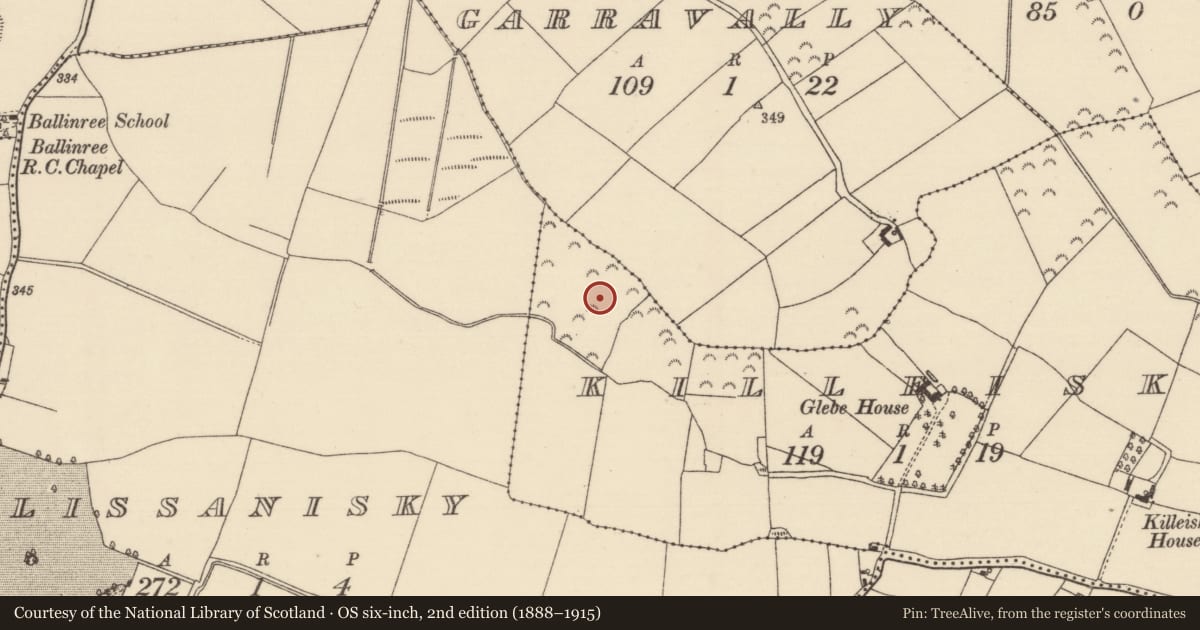 Ordnance Survey six-inch map, 2nd edition (1888–1915) covering the location of Ringfort - rath, Killeisk, County Tipperary North, with a pin at the register's coordinates