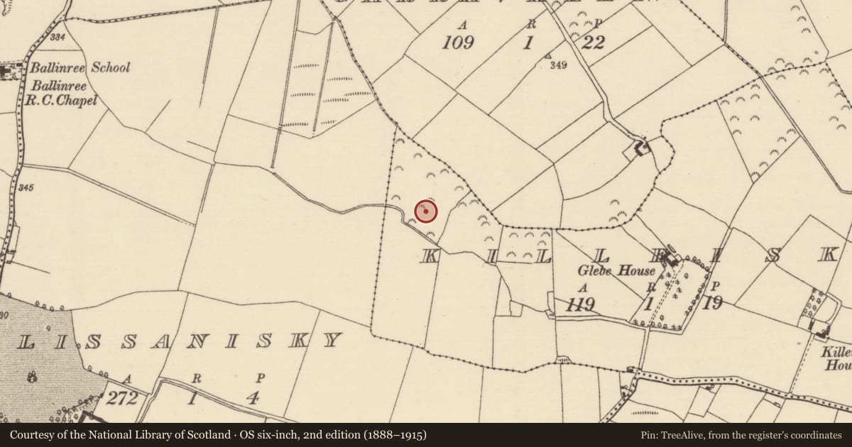 Ordnance Survey six-inch map, 2nd edition (1888–1915) covering the location of Field system, Killeisk, County Tipperary North, with a pin at the register's coordinates