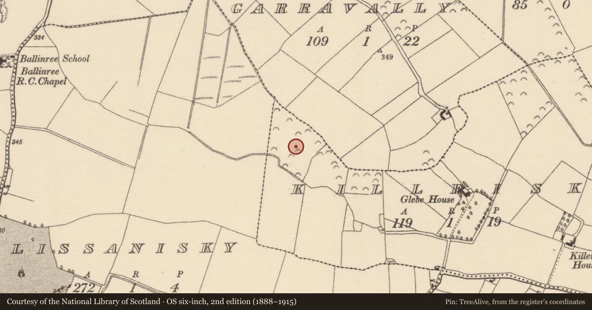 Ordnance Survey six-inch map, 2nd edition (1888–1915) covering the location of Kiln - lime, Killeisk, County Tipperary North, with a pin at the register's coordinates