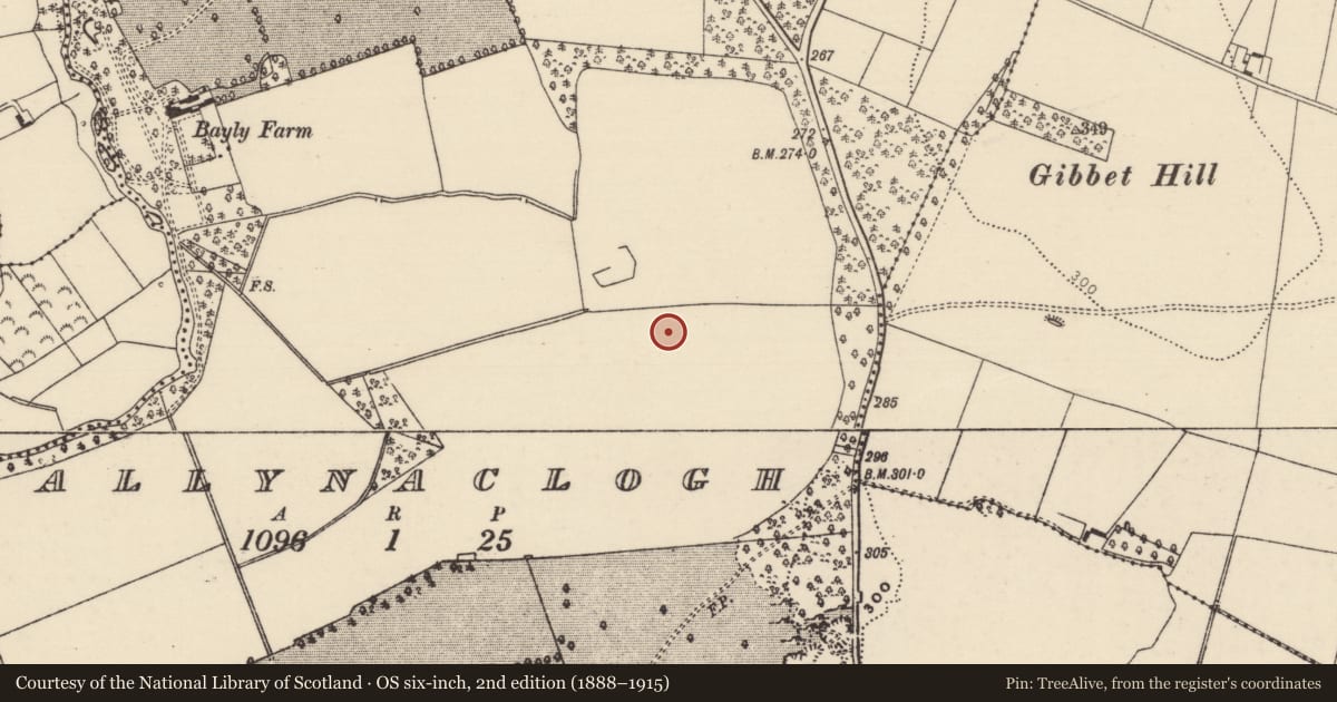 Ordnance Survey six-inch map, 2nd edition (1888–1915) covering the location of Enclosure, Ballynaclogh, County Tipperary North, with a pin at the register's coordinates