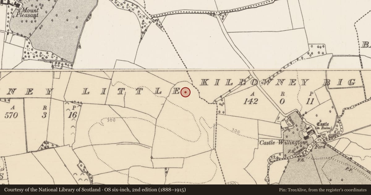 Ordnance Survey six-inch map, 2nd edition (1888–1915) covering the location of Ecclesiastical enclosure, Killowney Little, County Tipperary North, with a pin at the register's coordinates