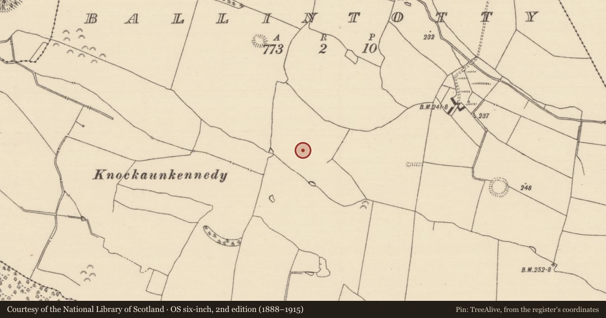 Ordnance Survey six-inch map, 2nd edition (1888–1915) covering the location of Enclosure, Ballintotty, County Tipperary North, with a pin at the register's coordinates