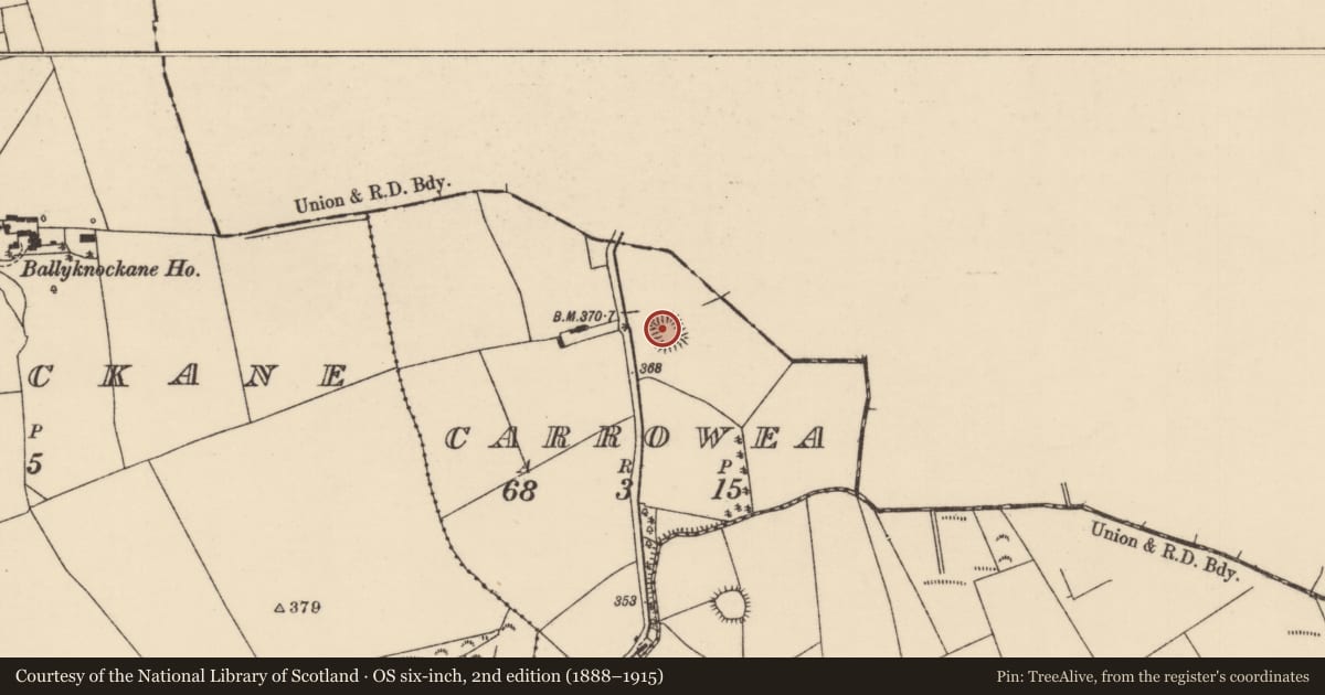 Ordnance Survey six-inch map, 2nd edition (1888–1915) covering the location of Moated site, Carrowea, County Tipperary North, with a pin at the register's coordinates