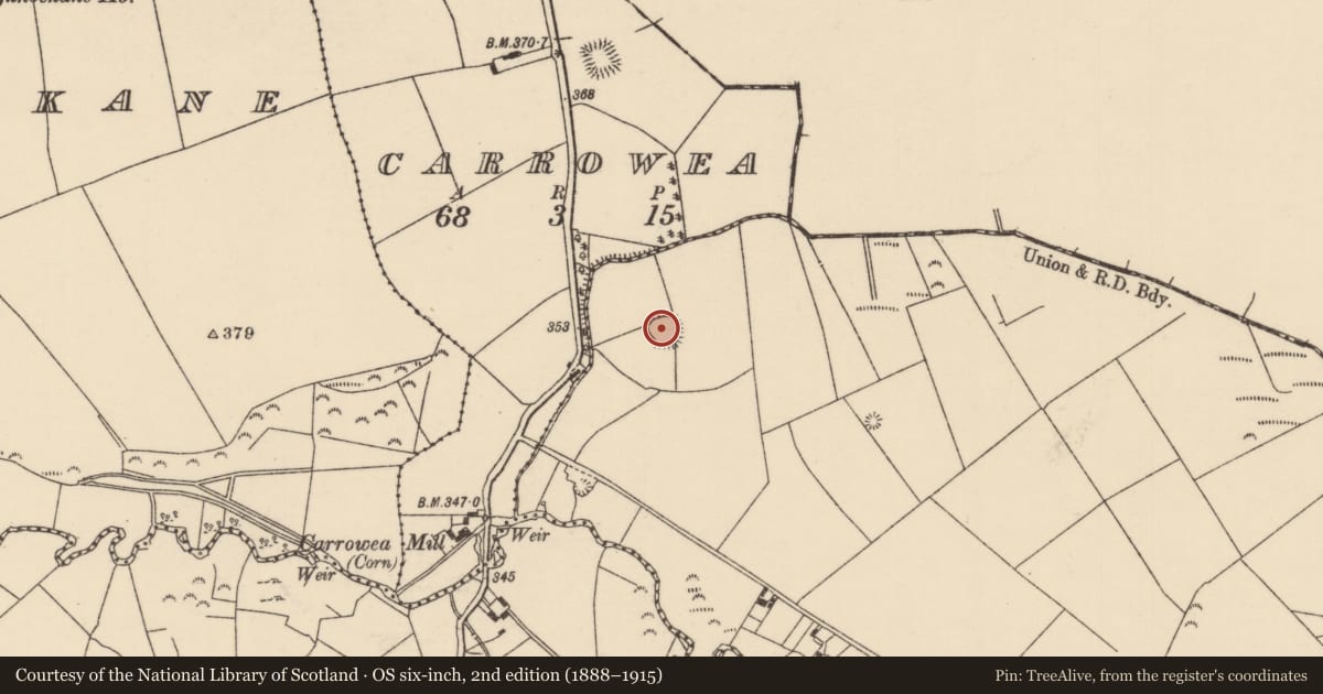 Ordnance Survey six-inch map, 2nd edition (1888–1915) covering the location of Ringfort - rath, Park (Ballymackey Par.), County Tipperary North, with a pin at the register's coordinates
