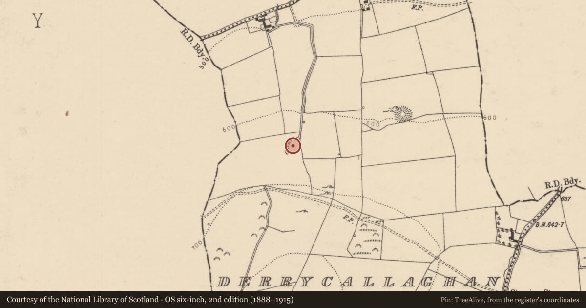 Ordnance Survey six-inch map, 2nd edition (1888–1915) covering the location of Enclosure, Derrycallaghan, County Tipperary North, with a pin at the register's coordinates