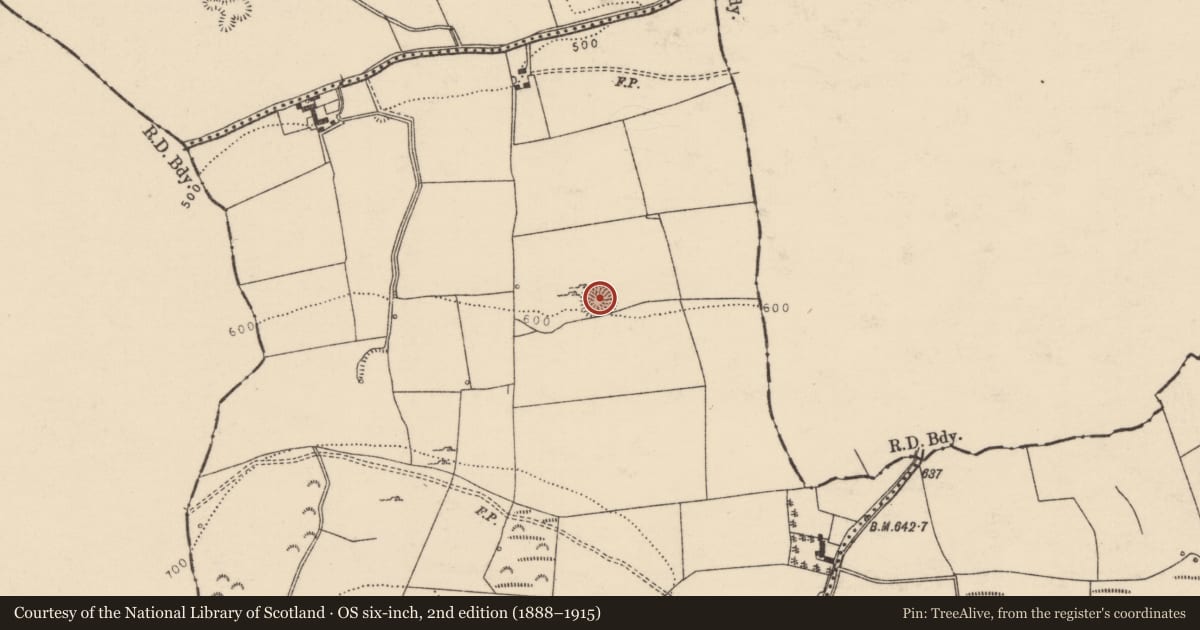 Ordnance Survey six-inch map, 2nd edition (1888–1915) covering the location of Ringfort - rath, Derrycallaghan, County Tipperary North, with a pin at the register's coordinates