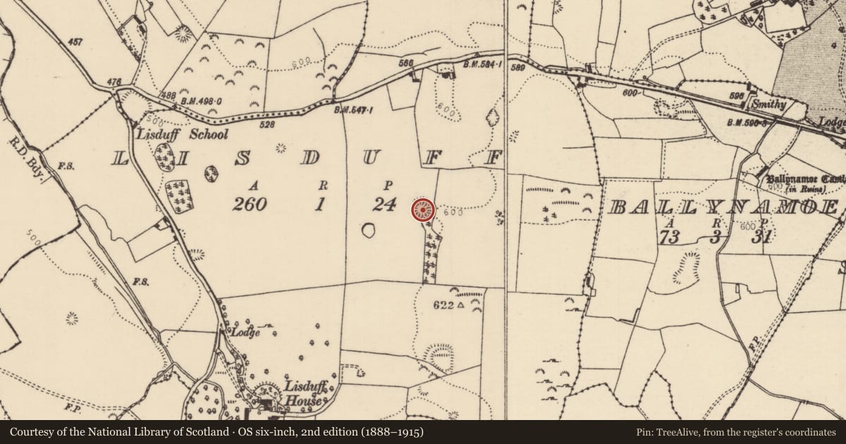Ordnance Survey six-inch map, 2nd edition (1888–1915) covering the location of Castle - ringwork, Lisduff (Rathnaveoge Par.), County Tipperary North, with a pin at the register's coordinates