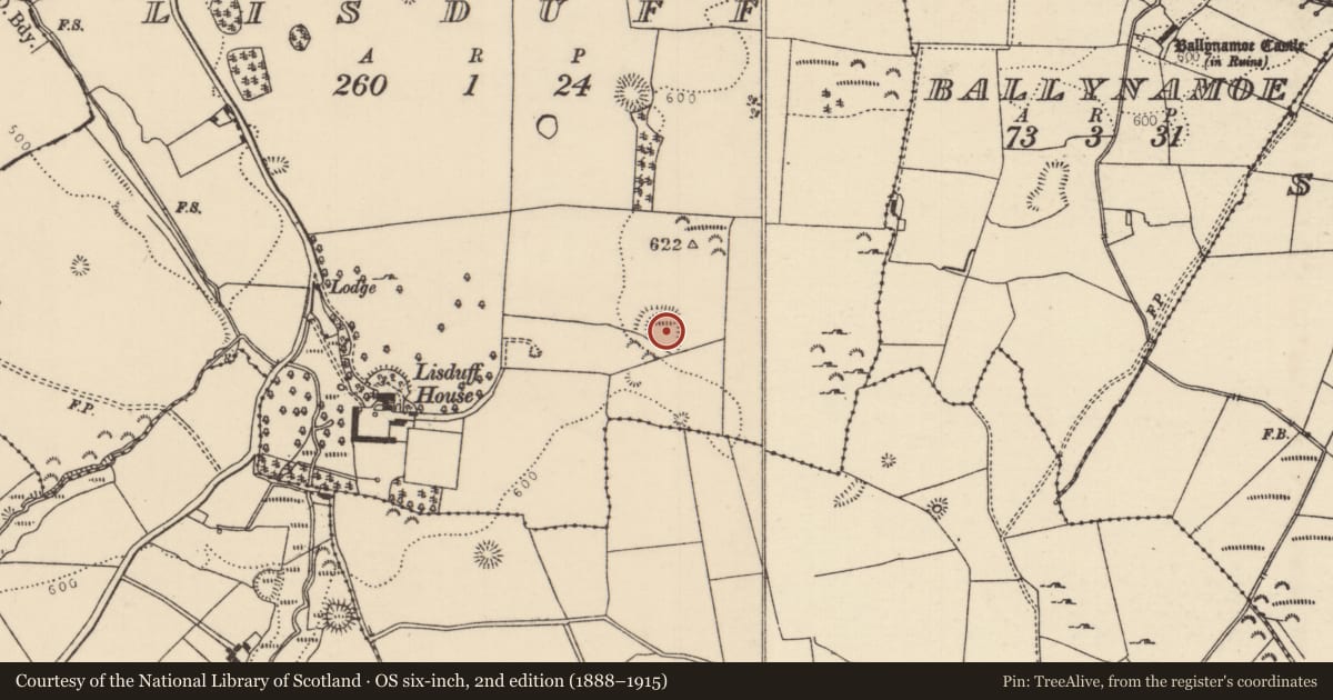 Ordnance Survey six-inch map, 2nd edition (1888–1915) covering the location of Ringfort - rath, Lisduff (Rathnaveoge Par.), County Tipperary North, with a pin at the register's coordinates