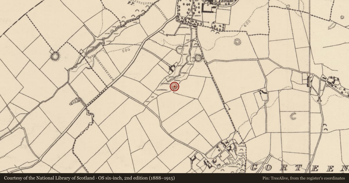 Ordnance Survey six-inch map, 2nd edition (1888–1915) covering the location of Ringfort - rath, Crumlin Little, County Tipperary North, with a pin at the register's coordinates