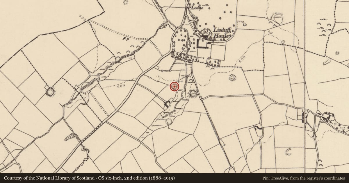 Ordnance Survey six-inch map, 2nd edition (1888–1915) covering the location of Ringfort - rath, Crumlin Little, County Tipperary North, with a pin at the register's coordinates