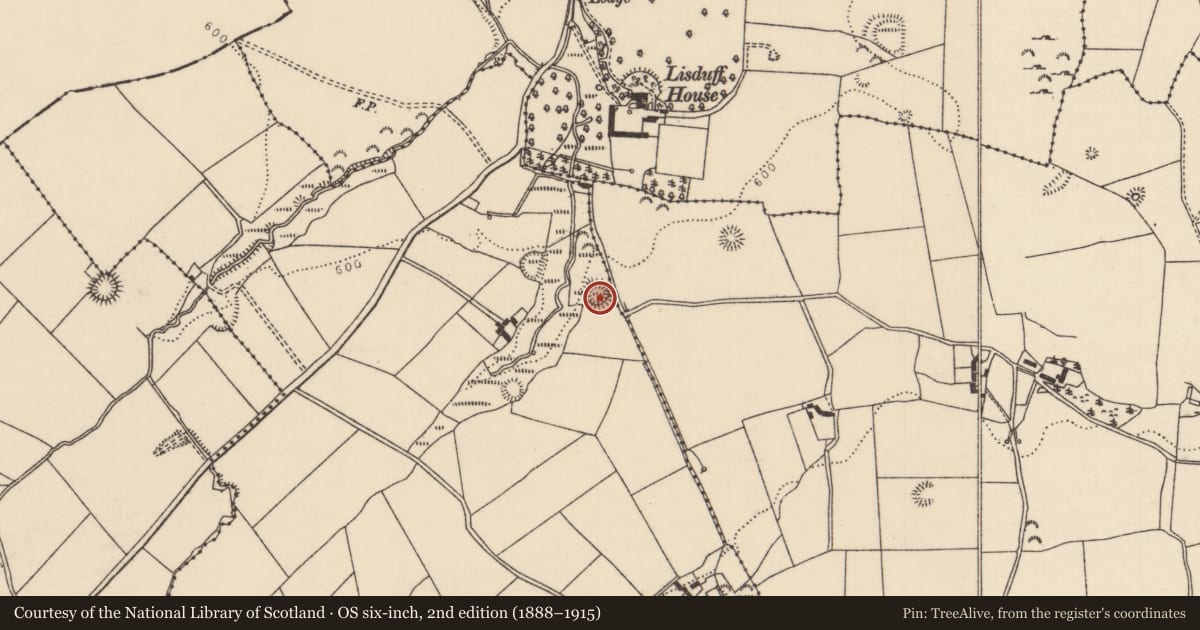 Ordnance Survey six-inch map, 2nd edition (1888–1915) covering the location of Ringfort - rath, Crumlin Little, County Tipperary North, with a pin at the register's coordinates