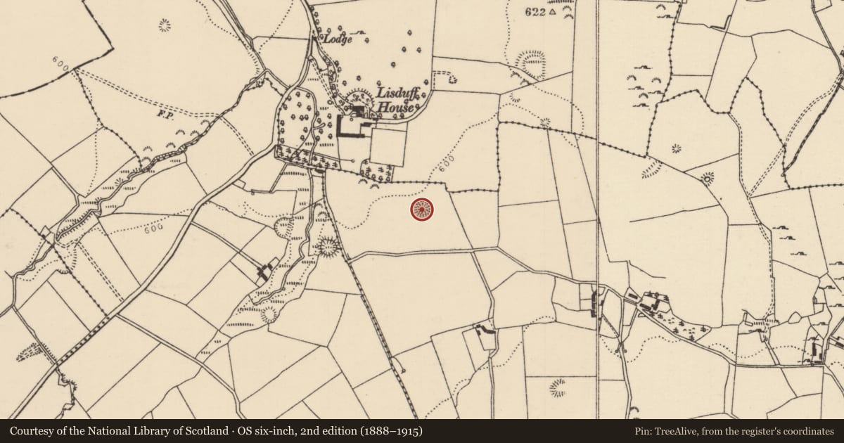 Ordnance Survey six-inch map, 2nd edition (1888–1915) covering the location of Ringfort - rath, Gorteenashingaun, County Tipperary North, with a pin at the register's coordinates