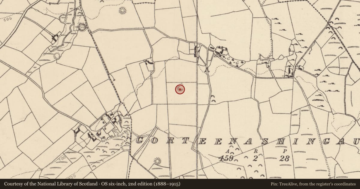 Ordnance Survey six-inch map, 2nd edition (1888–1915) covering the location of Ringfort - rath, Gorteenashingaun, County Tipperary North, with a pin at the register's coordinates
