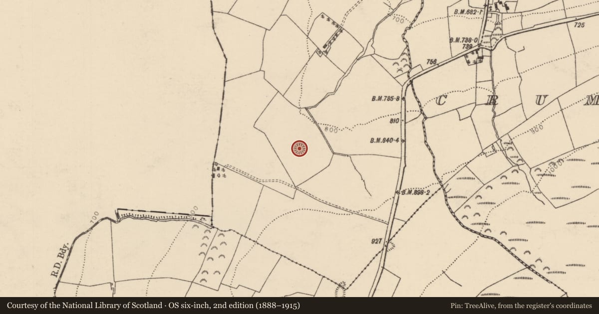 Ordnance Survey six-inch map, 2nd edition (1888–1915) covering the location of Ringfort - rath, Derrycallaghan, County Tipperary North, with a pin at the register's coordinates