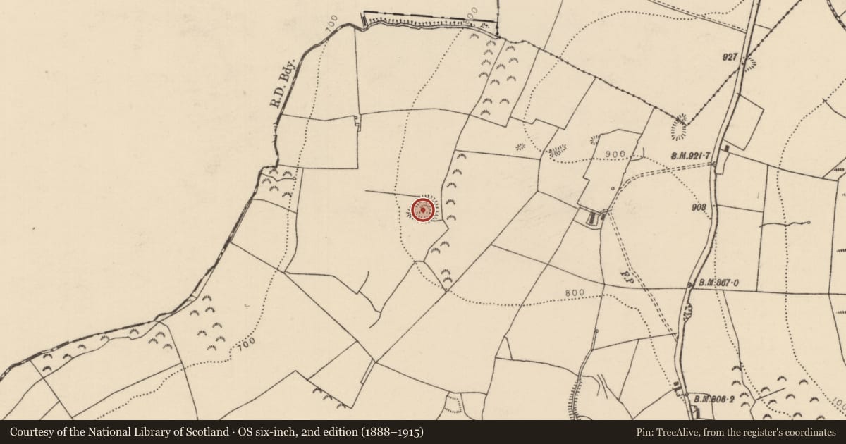 Ordnance Survey six-inch map, 2nd edition (1888–1915) covering the location of Ringfort - rath, Cloncannon, County Tipperary North, with a pin at the register's coordinates