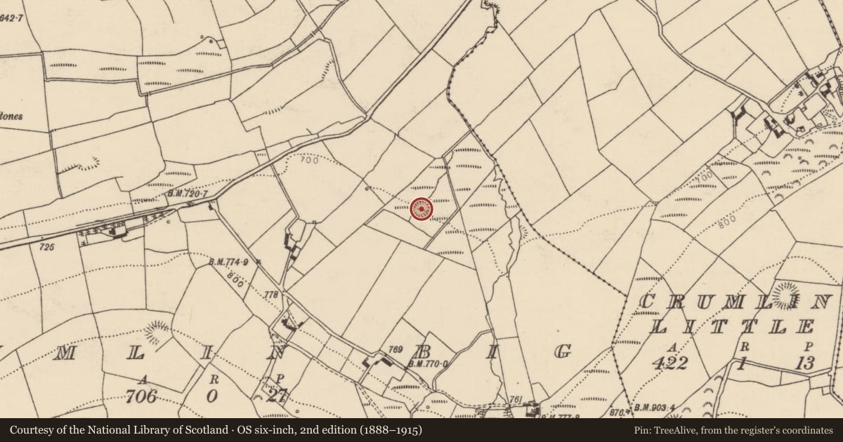Ordnance Survey six-inch map, 2nd edition (1888–1915) covering the location of Ringfort - rath, Crumlin Big, County Tipperary North, with a pin at the register's coordinates