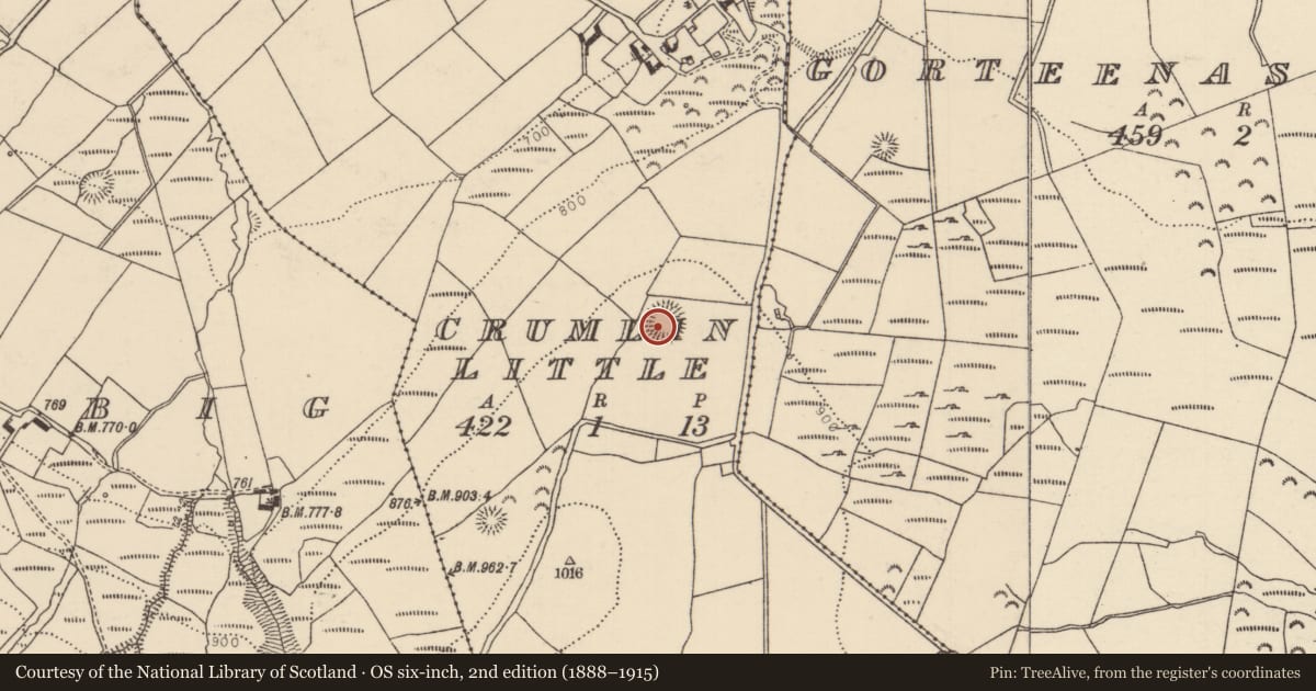 Ordnance Survey six-inch map, 2nd edition (1888–1915) covering the location of Ringfort - rath, Crumlin Little, County Tipperary North, with a pin at the register's coordinates