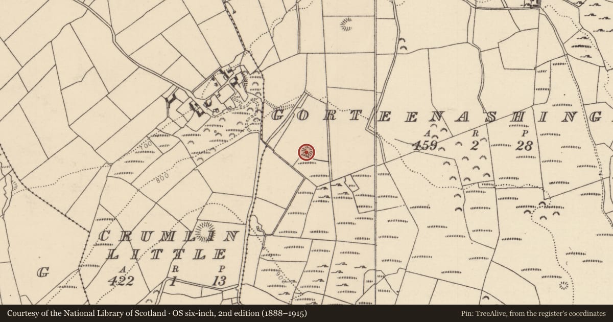 Ordnance Survey six-inch map, 2nd edition (1888–1915) covering the location of Ringfort - rath, Gorteenashingaun, County Tipperary North, with a pin at the register's coordinates