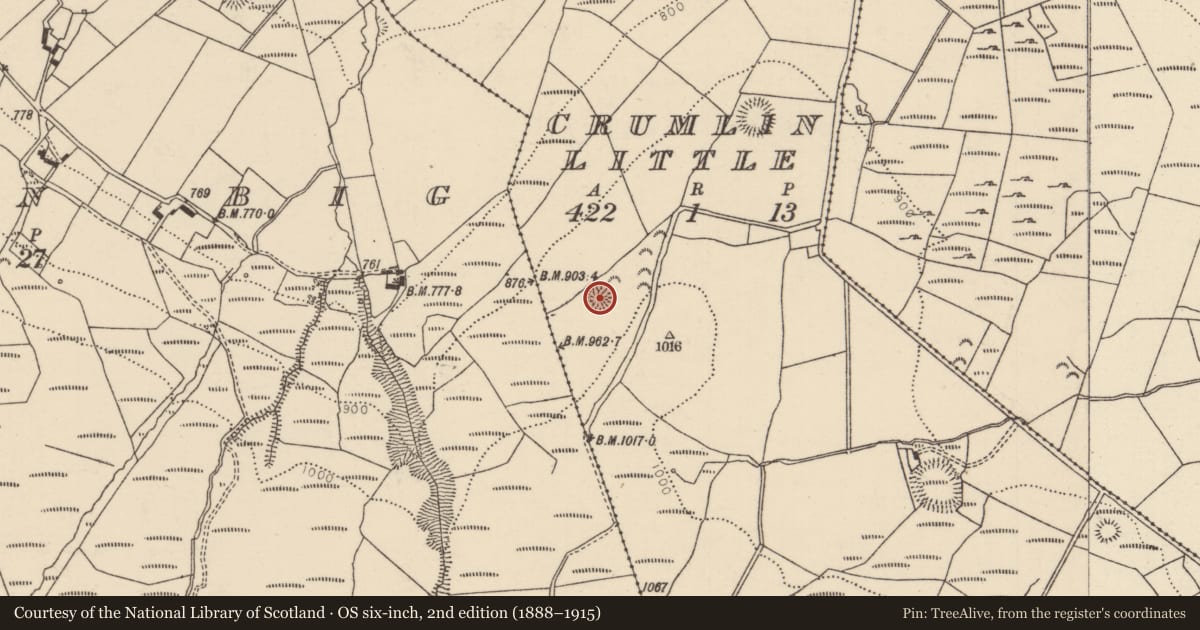 Ordnance Survey six-inch map, 2nd edition (1888–1915) covering the location of Ringfort - rath, Crumlin Little, County Tipperary North, with a pin at the register's coordinates
