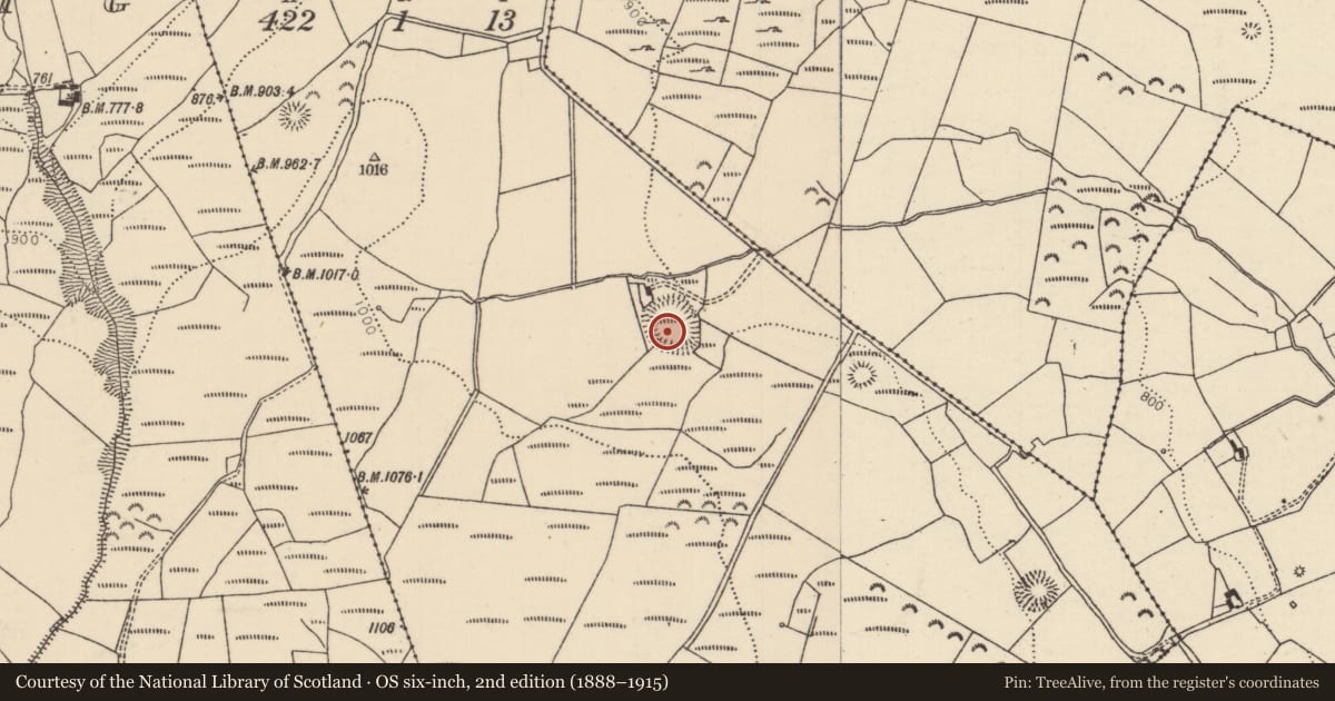 Ordnance Survey six-inch map, 2nd edition (1888–1915) covering the location of Ringfort - rath, Crumlin Little, County Tipperary North, with a pin at the register's coordinates