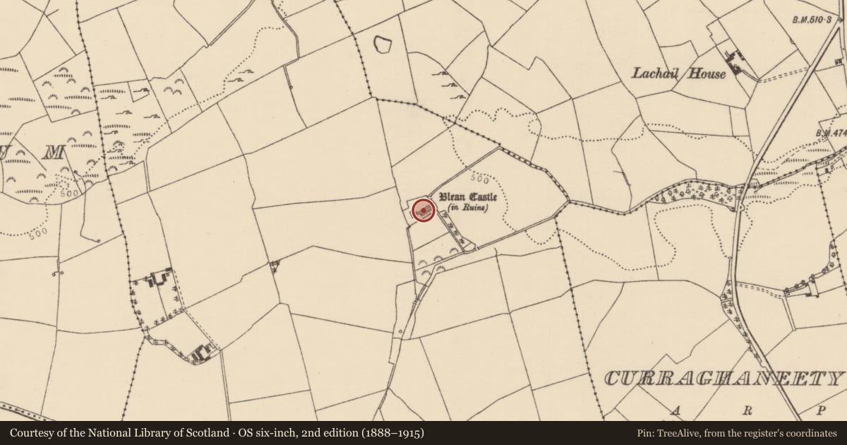 Ordnance Survey six-inch map, 2nd edition (1888–1915) covering the location of House - indeterminate date, Blean, County Tipperary North, with a pin at the register's coordinates
