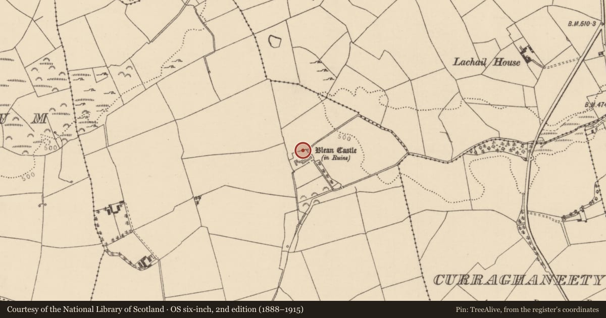 Ordnance Survey six-inch map, 2nd edition (1888–1915) covering the location of Bawn, Blean, County Tipperary North, with a pin at the register's coordinates