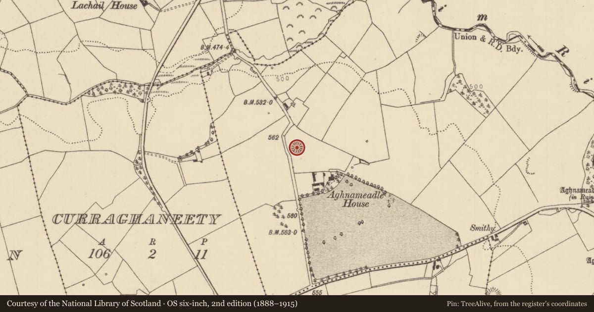 Ordnance Survey six-inch map, 2nd edition (1888–1915) covering the location of Ringfort - rath, Aghnameadle, County Tipperary North, with a pin at the register's coordinates