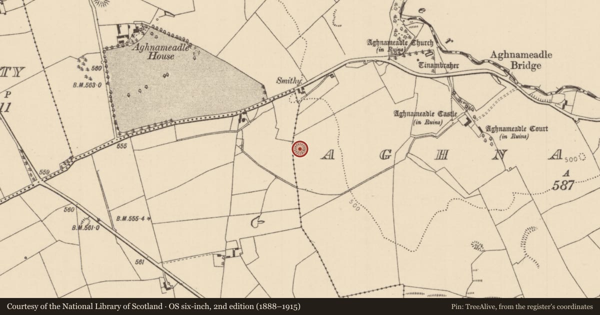 Ordnance Survey six-inch map, 2nd edition (1888–1915) covering the location of Ringfort - rath, Aghnameadle, County Tipperary North, with a pin at the register's coordinates
