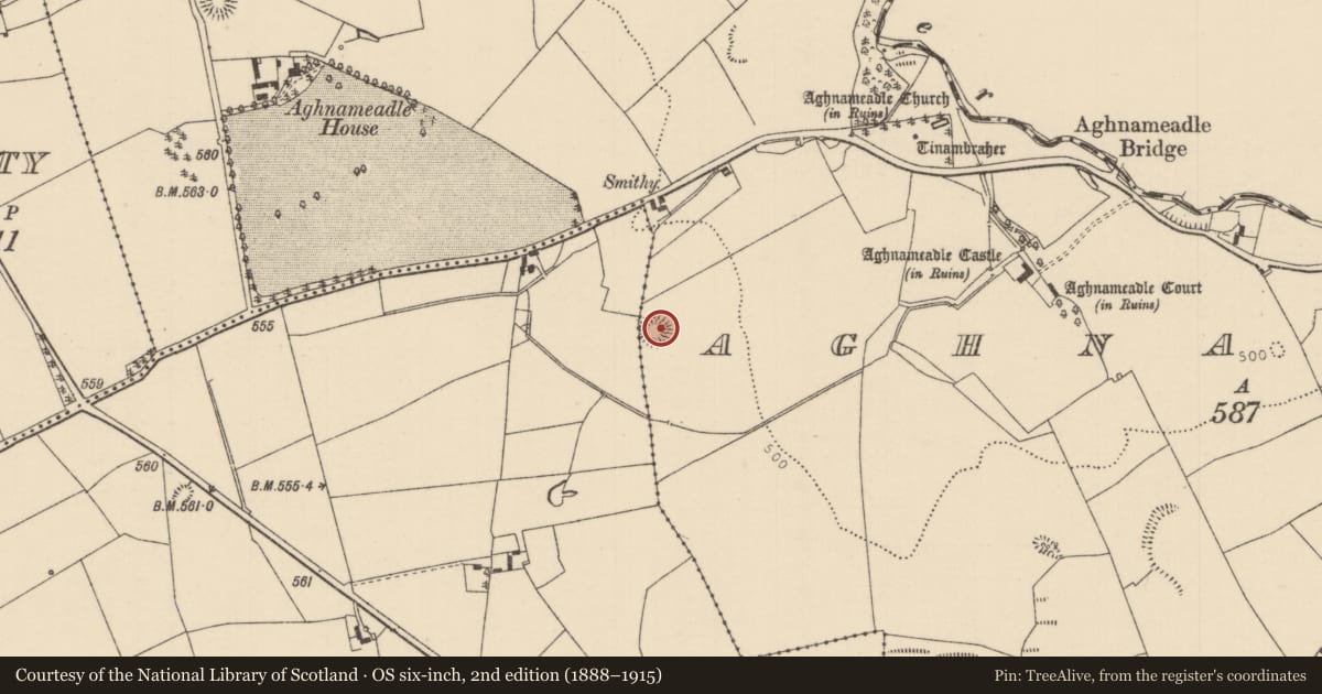 Ordnance Survey six-inch map, 2nd edition (1888–1915) covering the location of Standing stone, Aghnameadle, County Tipperary North, with a pin at the register's coordinates