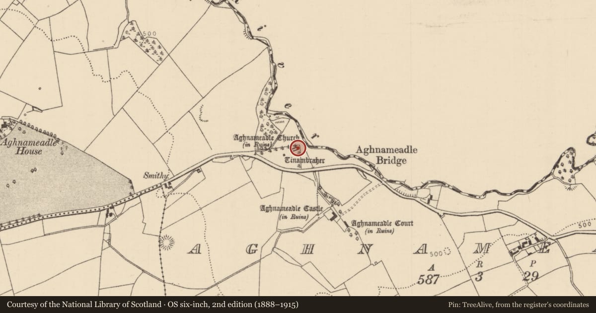 Ordnance Survey six-inch map, 2nd edition (1888–1915) covering the location of Church, Aghnameadle, County Tipperary North, with a pin at the register's coordinates