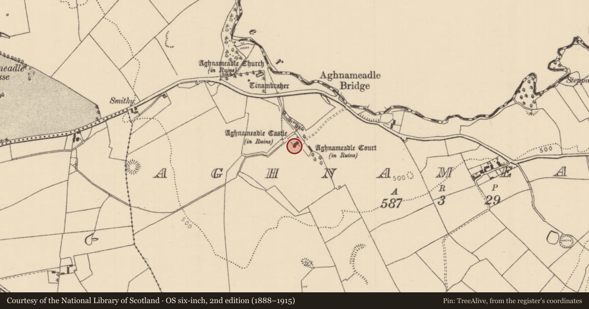 Ordnance Survey six-inch map, 2nd edition (1888–1915) covering the location of Castle - tower house, Aghnameadle, County Tipperary North, with a pin at the register's coordinates