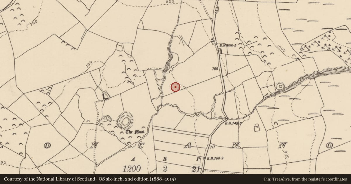 Ordnance Survey six-inch map, 2nd edition (1888–1915) covering the location of Ringfort - rath, Cloncannon, County Tipperary North, with a pin at the register's coordinates