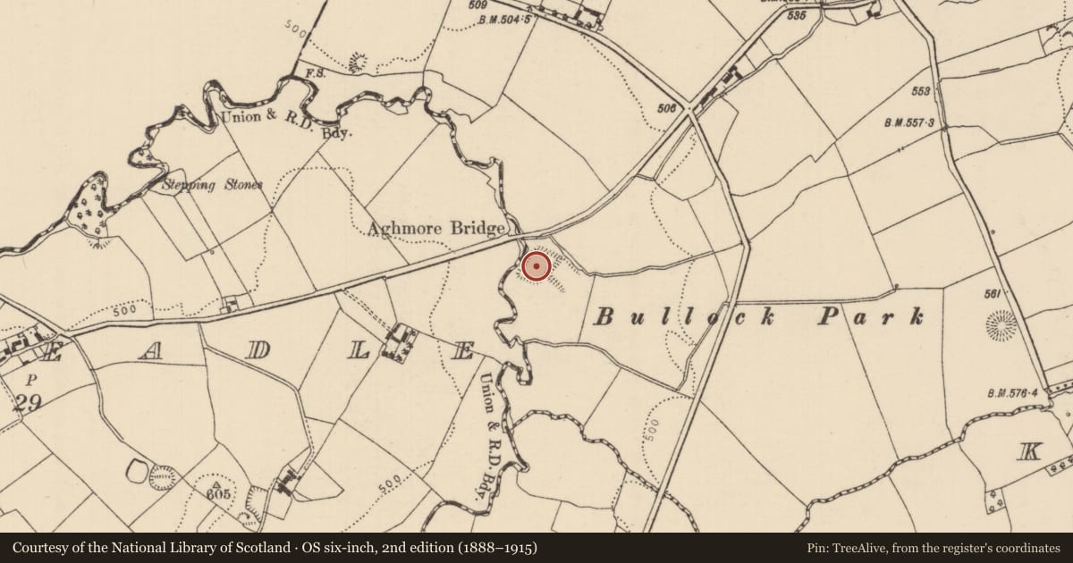 Ordnance Survey six-inch map, 2nd edition (1888–1915) covering the location of Moated site, Cloncannon, County Tipperary North, with a pin at the register's coordinates