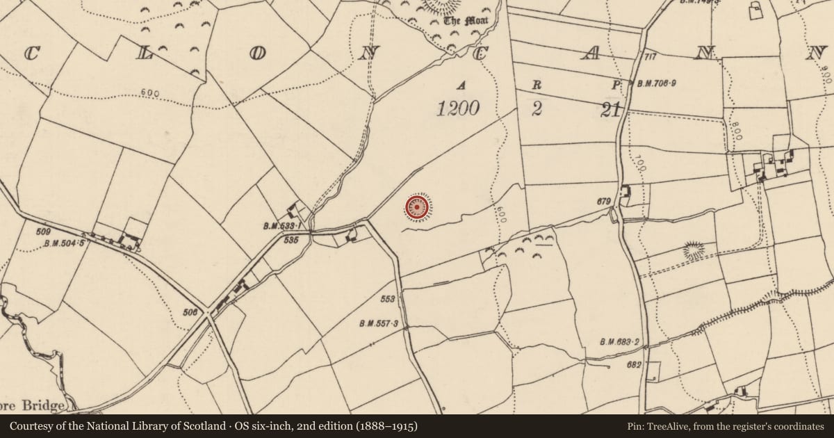 Ordnance Survey six-inch map, 2nd edition (1888–1915) covering the location of Ringfort - rath, Cloncannon, County Tipperary North, with a pin at the register's coordinates