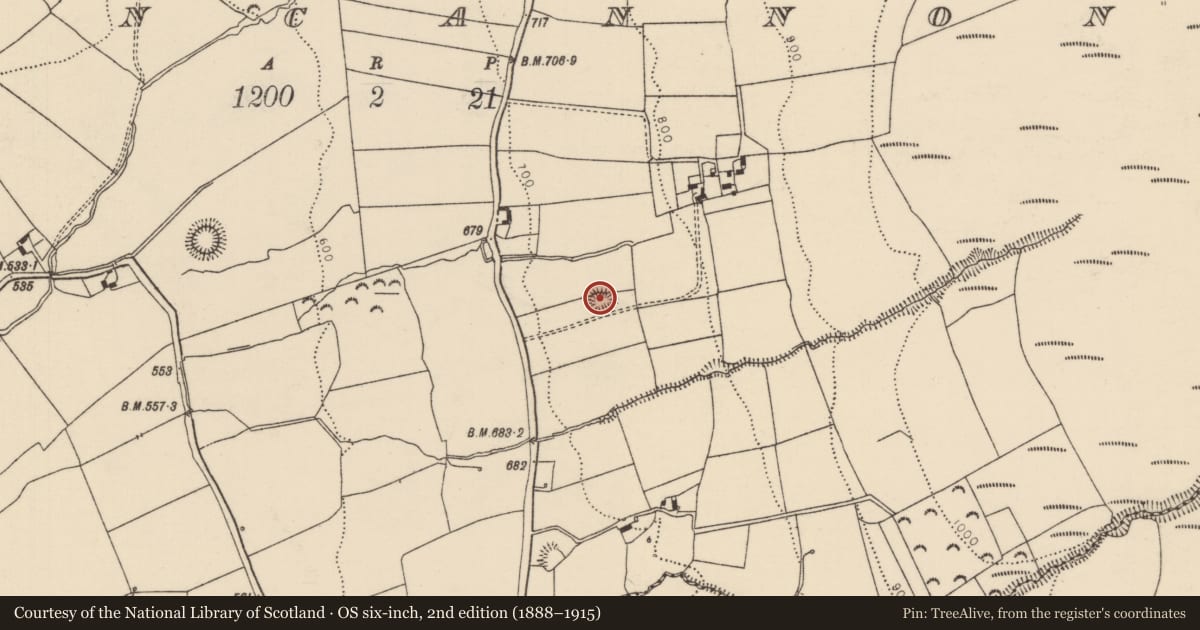 Ordnance Survey six-inch map, 2nd edition (1888–1915) covering the location of Ringfort - rath, Cloncannon, County Tipperary North, with a pin at the register's coordinates