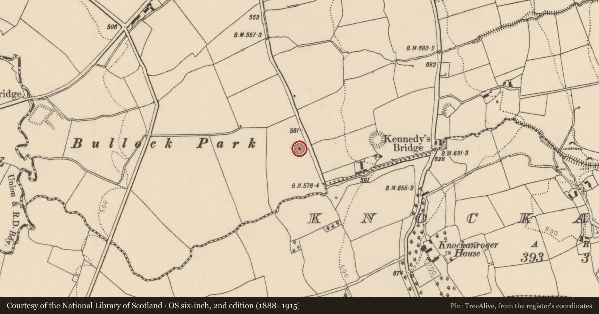 Ordnance Survey six-inch map, 2nd edition (1888–1915) covering the location of Ringfort - rath, Cloncannon, County Tipperary North, with a pin at the register's coordinates