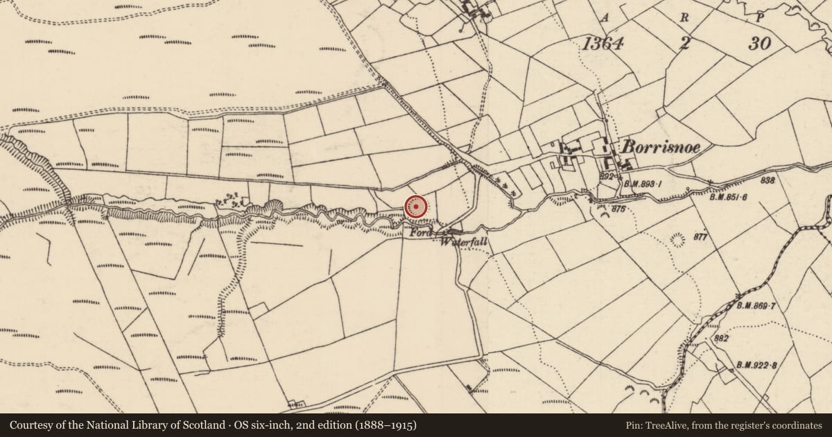 Ordnance Survey six-inch map, 2nd edition (1888–1915) covering the location of Enclosure, Borrisnoe, County Tipperary North, with a pin at the register's coordinates