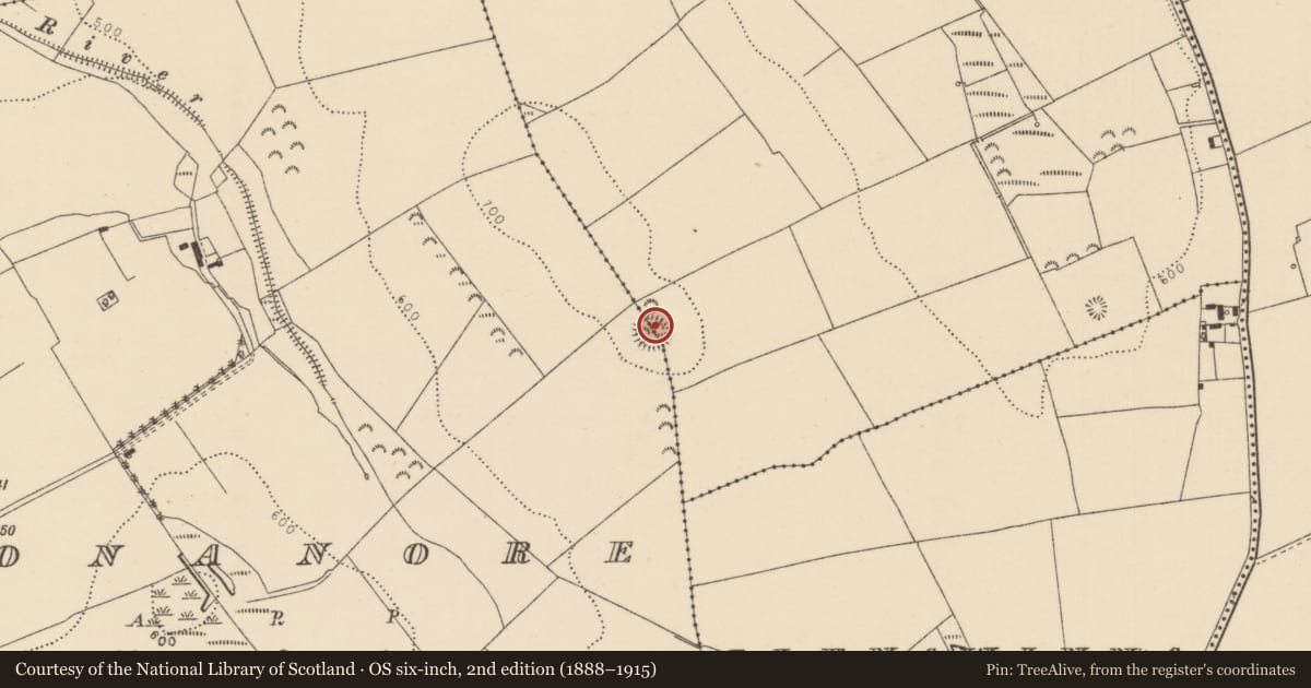 Ordnance Survey six-inch map, 2nd edition (1888–1915) covering the location of Ringfort - cashel, Blean, Monanore, County Tipperary North, with a pin at the register's coordinates