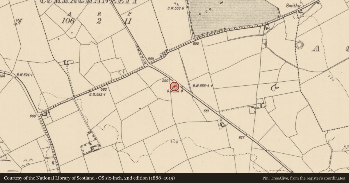 Ordnance Survey six-inch map, 2nd edition (1888–1915) covering the location of Enclosure, Ballybeg (Aghnameadle Par.), County Tipperary North, with a pin at the register's coordinates