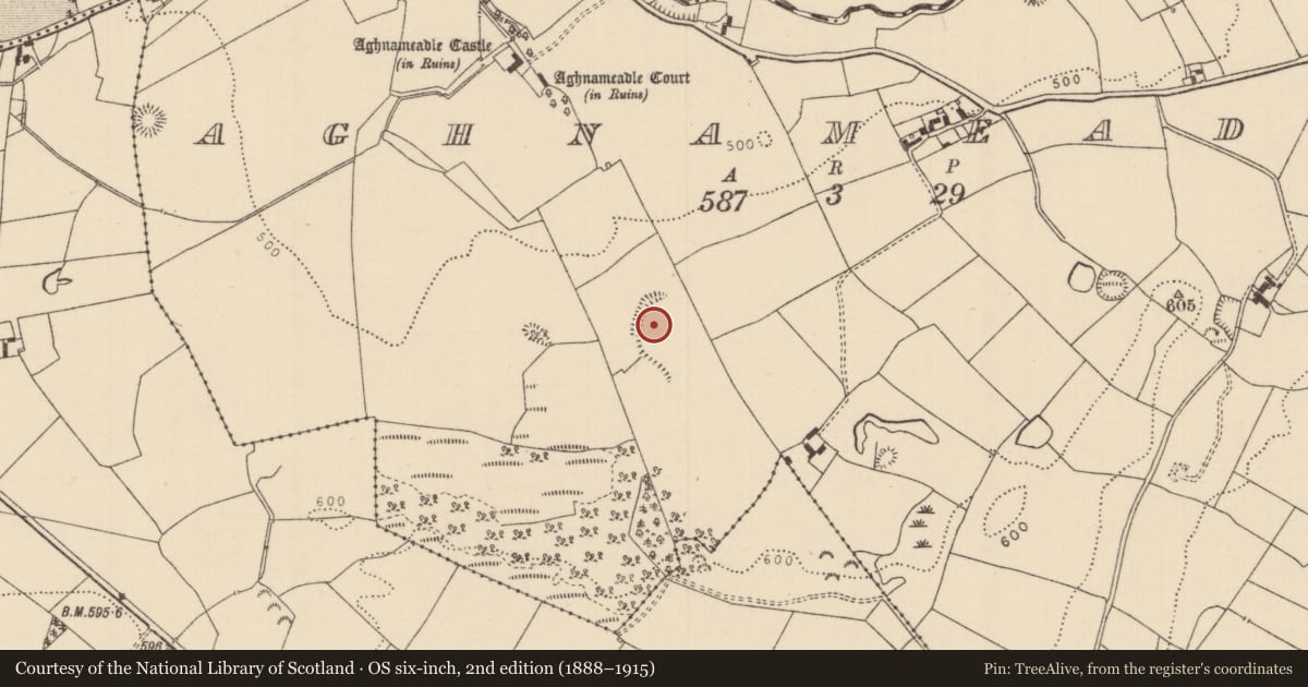 Ordnance Survey six-inch map, 2nd edition (1888–1915) covering the location of Enclosure, Aghnameadle, County Tipperary North, with a pin at the register's coordinates