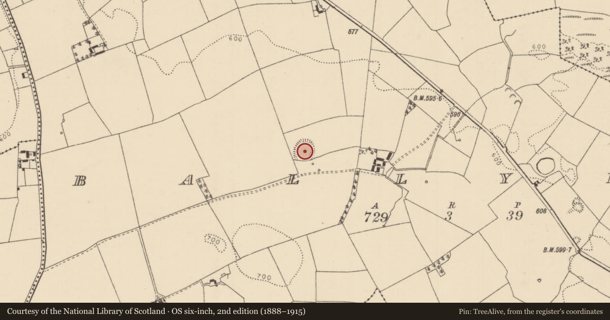 Ordnance Survey six-inch map, 2nd edition (1888–1915) covering the location of Ringfort - rath, Ballybeg (Aghnameadle Par.), County Tipperary North, with a pin at the register's coordinates