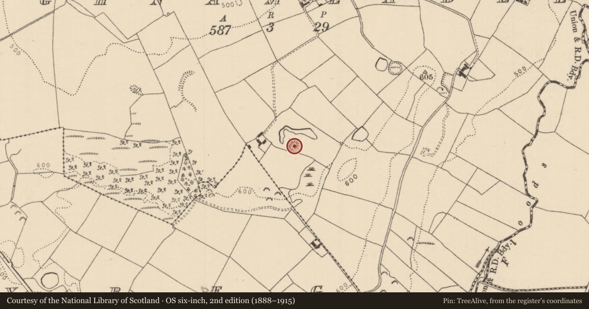 Ordnance Survey six-inch map, 2nd edition (1888–1915) covering the location of Kiln - lime, Aghnameadle, County Tipperary North, with a pin at the register's coordinates