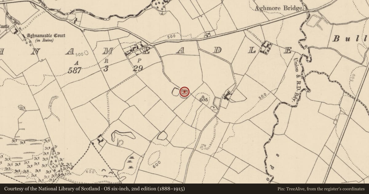 Ordnance Survey six-inch map, 2nd edition (1888–1915) covering the location of Ringfort - rath, Aghnameadle, County Tipperary North, with a pin at the register's coordinates
