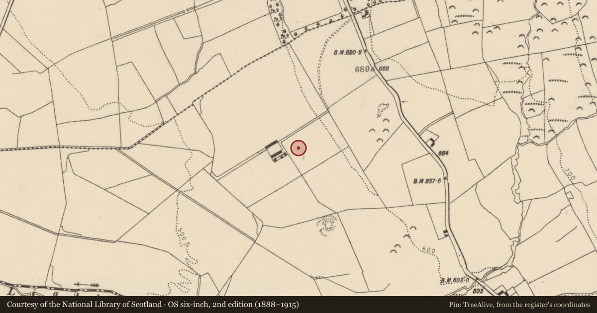 Ordnance Survey six-inch map, 2nd edition (1888–1915) covering the location of Earthwork, Borrisnafarney, County Tipperary North, with a pin at the register's coordinates