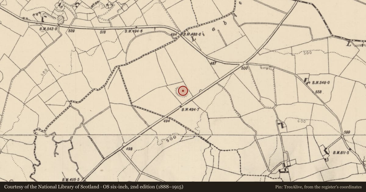 Ordnance Survey six-inch map, 2nd edition (1888–1915) covering the location of Ringfort - rath, Ballinveny, County Tipperary North, with a pin at the register's coordinates