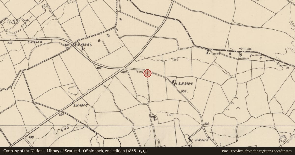 Ordnance Survey six-inch map, 2nd edition (1888–1915) covering the location of Enclosure, Ballinveny, County Tipperary North, with a pin at the register's coordinates
