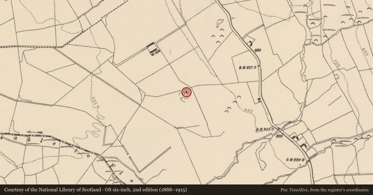 Ordnance Survey six-inch map, 2nd edition (1888–1915) covering the location of Ringfort - rath, Borrisnafarney, County Tipperary North, with a pin at the register's coordinates
